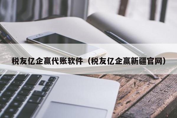 税友亿企赢代账软件（税友亿企赢新疆官网）