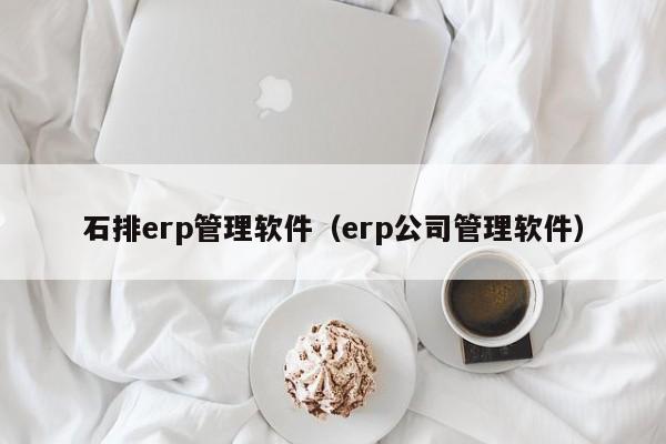 石排erp管理软件（erp公司管理软件）