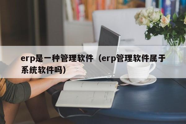 erp是一种管理软件（erp管理软件属于系统软件吗）