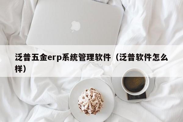 泛普五金erp系统管理软件（泛普软件怎么样）