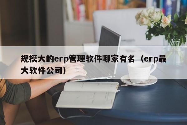 规模大的erp管理软件哪家有名（erp最大软件公司）