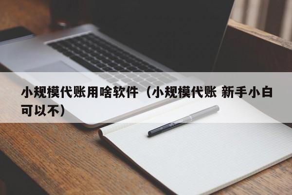 小规模代账用啥软件（小规模代账 新手小白可以不）