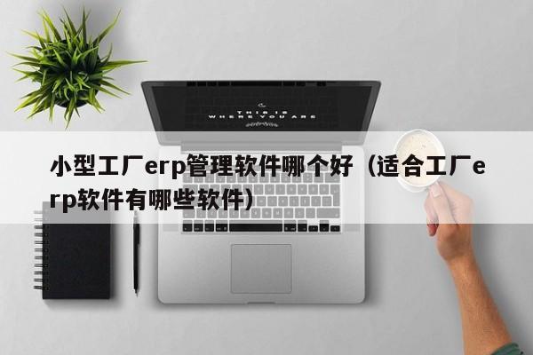 小型工厂erp管理软件哪个好（适合工厂erp软件有哪些软件）