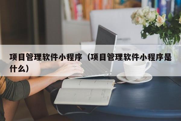 项目管理软件小程序（项目管理软件小程序是什么）