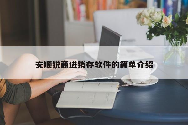 安顺锐商进销存软件的简单介绍