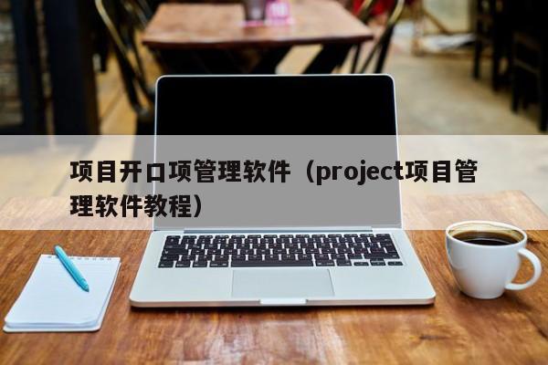 项目开口项管理软件（project项目管理软件教程）