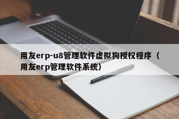 用友erp-u8管理软件虚拟狗授权程序（用友erp管理软件系统）