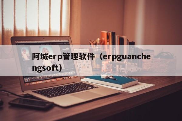 阿城erp管理软件（erpguanchengsoft）