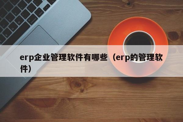 erp企业管理软件有哪些（erp的管理软件）