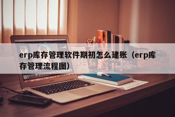 erp库存管理软件期初怎么建账（erp库存管理流程图）