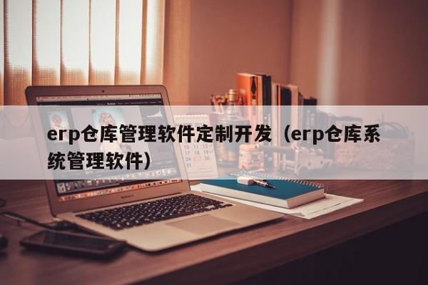 erp仓库管理软件定制开发（erp仓库系统管理软件）