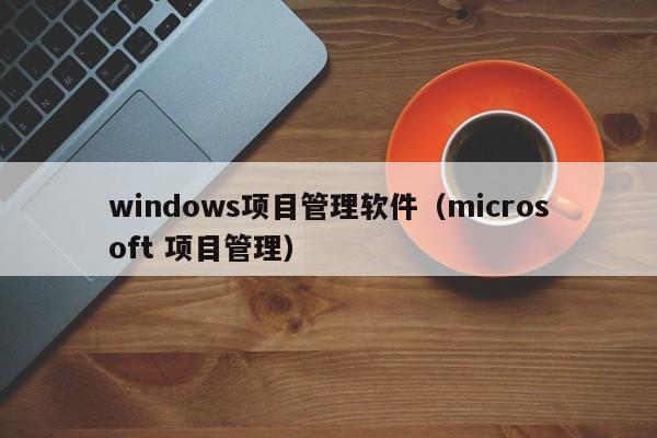 windows项目管理软件（microsoft 项目管理）