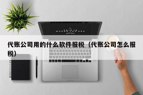 代账公司用的什么软件报税（代账公司怎么报税）