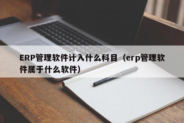 ERP管理软件计入什么科目（erp管理软件属于什么软件）