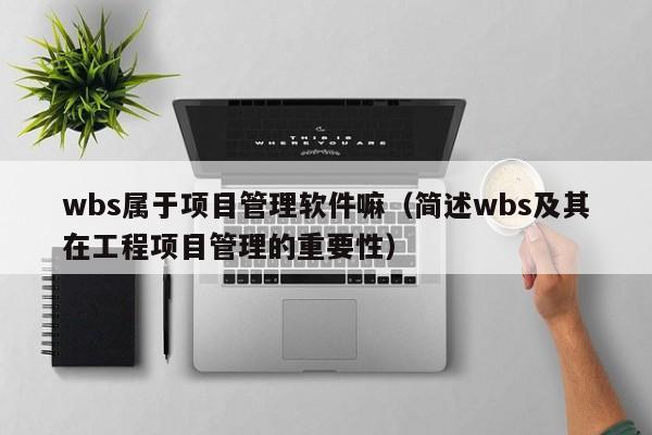 wbs属于项目管理软件嘛（简述wbs及其在工程项目管理的重要性）