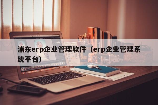 浦东erp企业管理软件（erp企业管理系统平台）