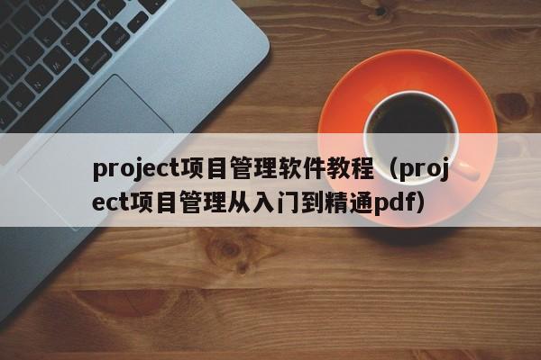 project项目管理软件教程（project项目管理从入门到精通pdf）