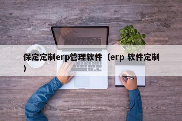 保定定制erp管理软件（erp 软件定制）