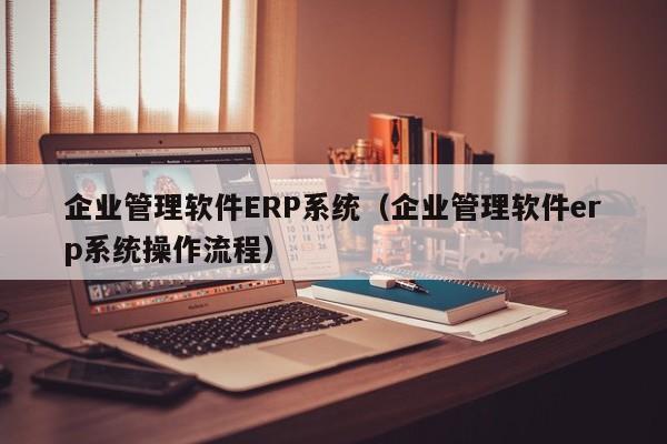 企业管理软件ERP系统（企业管理软件erp系统操作流程）