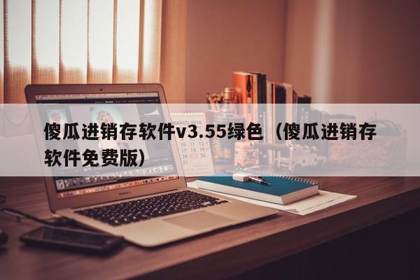 傻瓜进销存软件v3.55绿色（傻瓜进销存软件免费版）