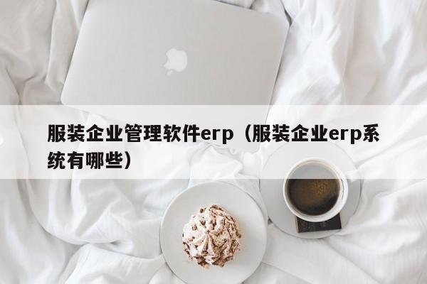 服装企业管理软件erp（服装企业erp系统有哪些）