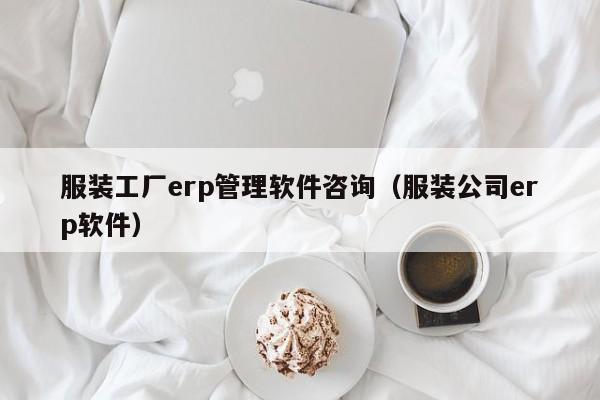 服装工厂erp管理软件咨询（服装公司erp软件）