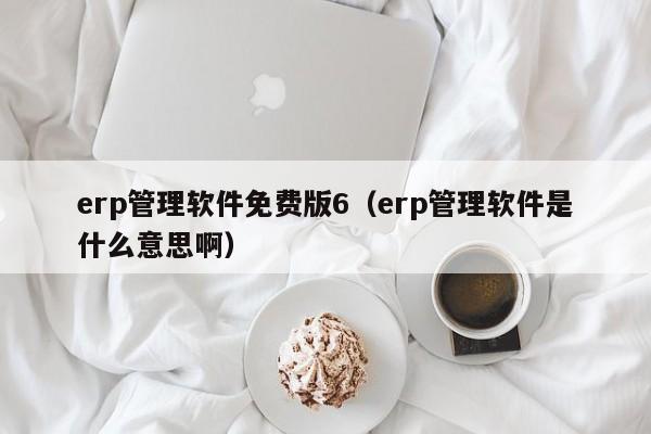 erp管理软件免费版6（erp管理软件是什么意思啊）