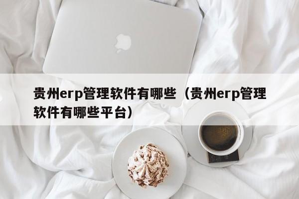 贵州erp管理软件有哪些（贵州erp管理软件有哪些平台）