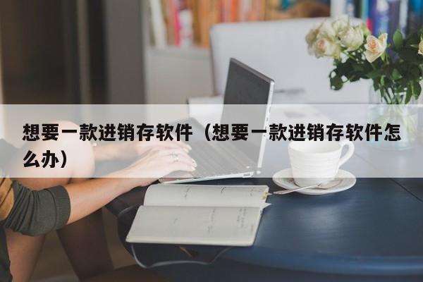 想要一款进销存软件（想要一款进销存软件怎么办）