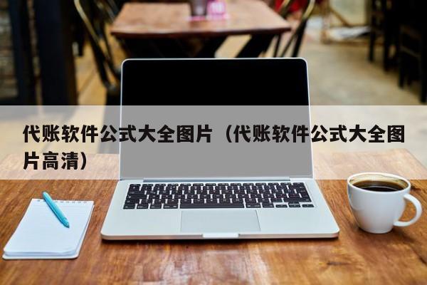 代账软件公式大全图片（代账软件公式大全图片高清）