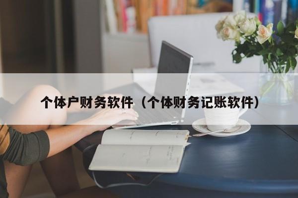 个体户财务软件（个体财务记账软件）