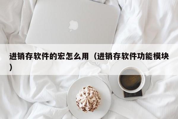 进销存软件的宏怎么用（进销存软件功能模块）