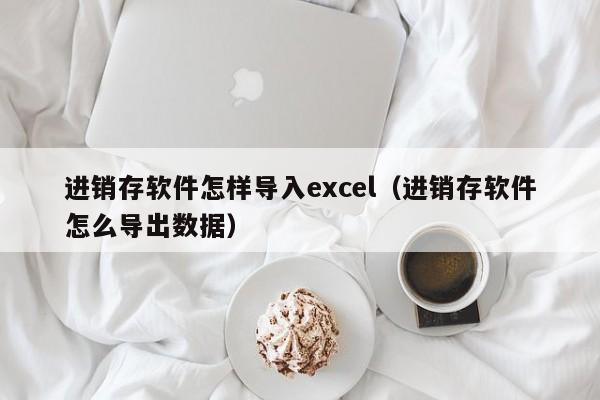 进销存软件怎样导入excel（进销存软件怎么导出数据）