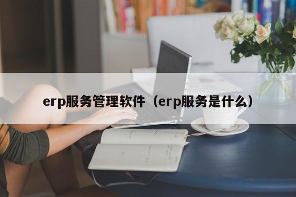 erp服务管理软件（erp服务是什么）