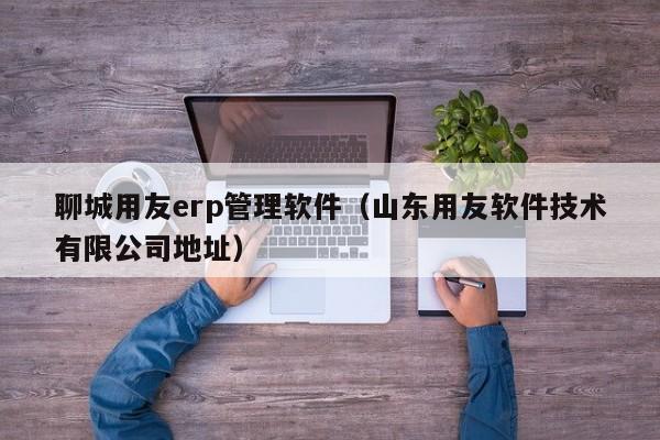 聊城用友erp管理软件（山东用友软件技术有限公司地址）