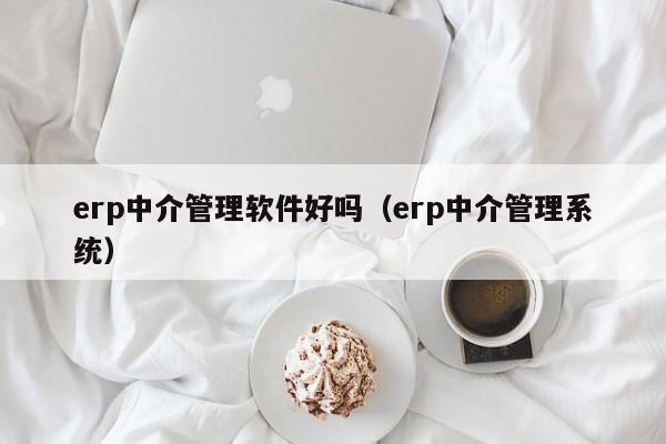 erp中介管理软件好吗（erp中介管理系统）