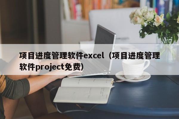 项目进度管理软件excel（项目进度管理软件project免费）