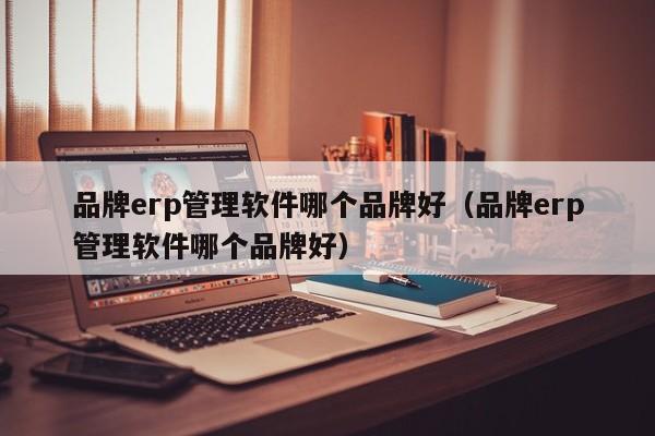 品牌erp管理软件哪个品牌好（品牌erp管理软件哪个品牌好）