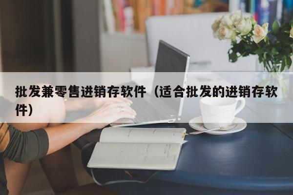 批发兼零售进销存软件（适合批发的进销存软件）