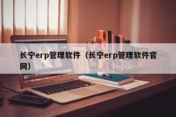 长宁erp管理软件（长宁erp管理软件官网）