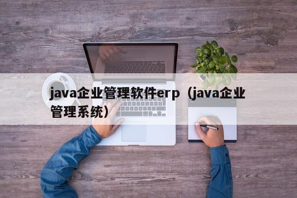 java企业管理软件erp（java企业管理系统）