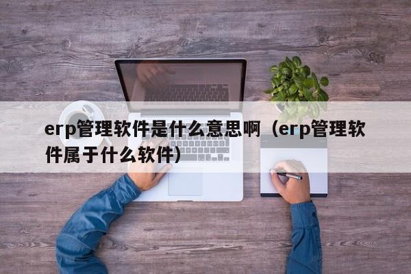 erp管理软件是什么意思啊（erp管理软件属于什么软件）