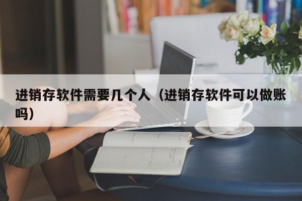 进销存软件需要几个人（进销存软件可以做账吗）