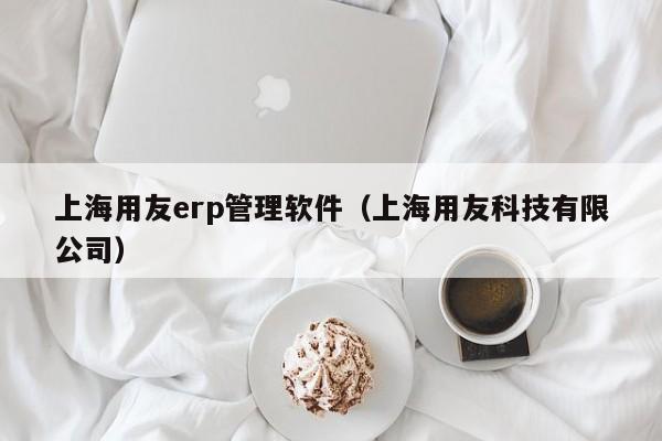 上海用友erp管理软件（上海用友科技有限公司）