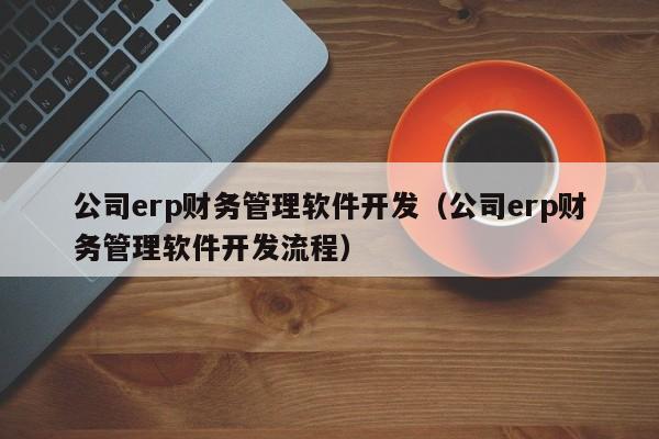 公司erp财务管理软件开发（公司erp财务管理软件开发流程）