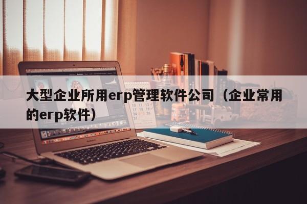 大型企业所用erp管理软件公司（企业常用的erp软件）