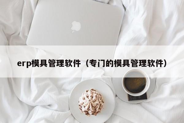 erp模具管理软件（专门的模具管理软件）