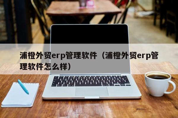 浦橙外贸erp管理软件（浦橙外贸erp管理软件怎么样）