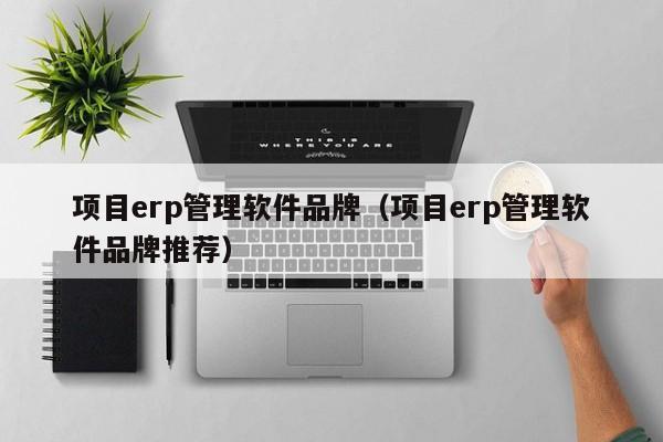 项目erp管理软件品牌（项目erp管理软件品牌推荐）