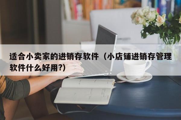 适合小卖家的进销存软件（小店铺进销存管理软件什么好用?）